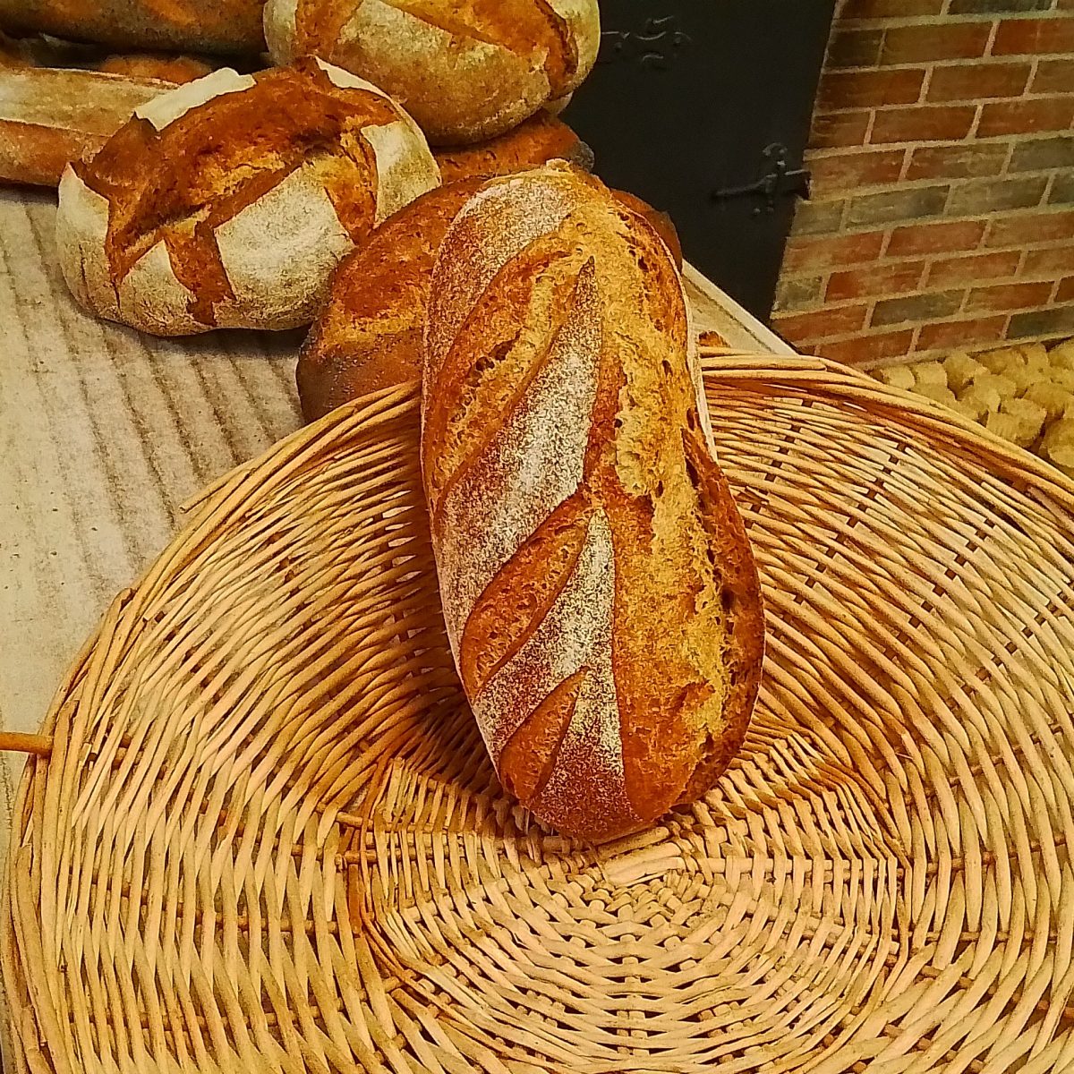 Le Levain naturel Nature
